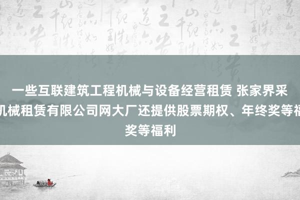 一些互联建筑工程机械与设备经营租赁 张家界采天机械租赁有限公司网大厂还提供股票期权、年终奖等福利