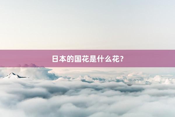 日本的国花是什么花？