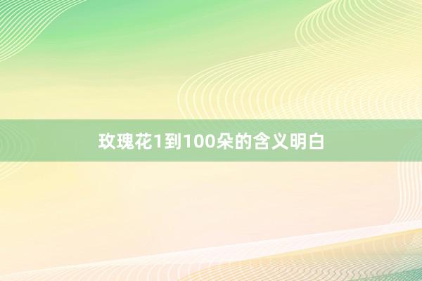 玫瑰花1到100朵的含义明白