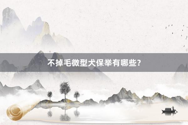 不掉毛微型犬保举有哪些？