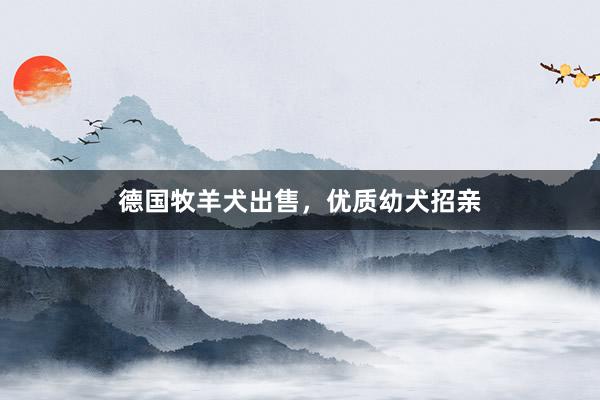 德国牧羊犬出售，优质幼犬招亲