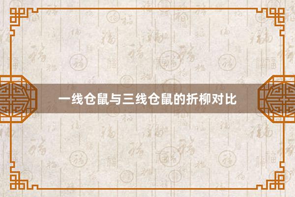 一线仓鼠与三线仓鼠的折柳对比